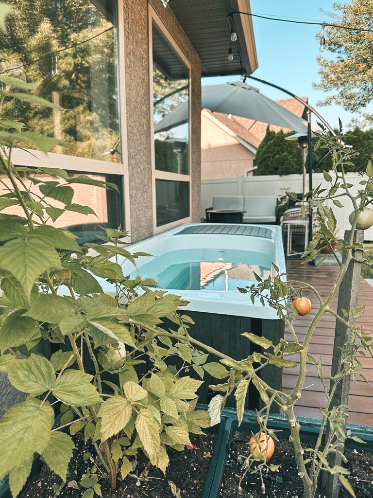 Saunas and Cold Plunge Tubs